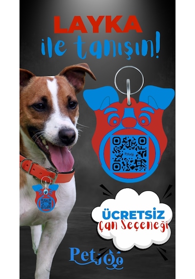 Petjoo 22.Layka Mavi-Kırmızı Qr'lı Köpek Künyesi