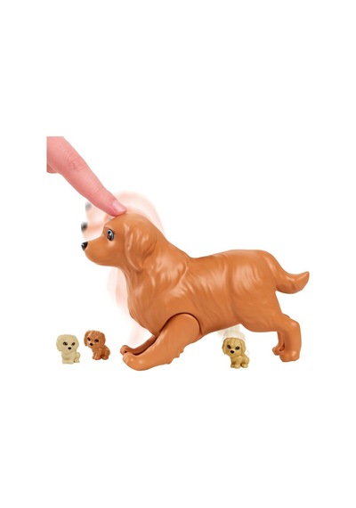 Hck75 Yeni Doğan Köpekler Oyun Seti, Ve Hayvanları 10pcs Mixed