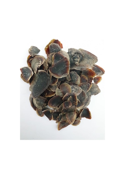 Cin Tırnağı 100 G