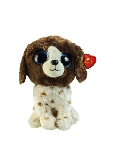 Dog Brown White Reg