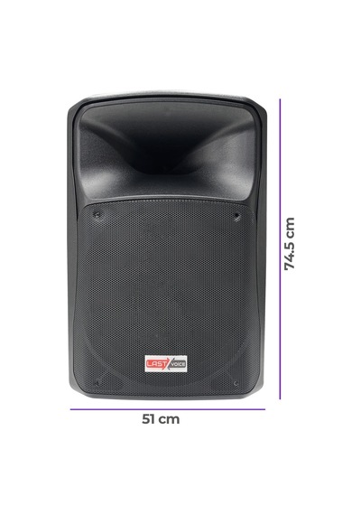 Lastvoice Lx-15 Profesyonel Kabin Hoparlör 15'' 1000 W