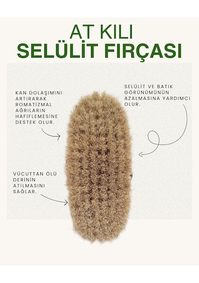 Selülit Önleyici At Kılı Fırçası