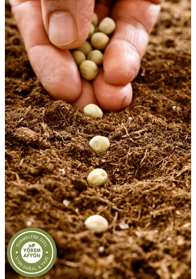 Yörem Afyon K.maraş Yöresinden Kadınların Sessiz Kahramanı Hakiki Hayıt Tohumu Vitex Agnus-castus 80gr.