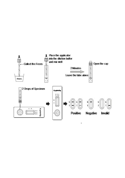 Helicobacter Pylori Testi Helikobakter Pilori Midde Sağlığı Test