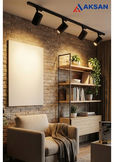 Ct-5334 Babil Cob Led Ray Spot Lamba 30w Günışığı Siyah Monofaze Uyumlu Raysız Diğer