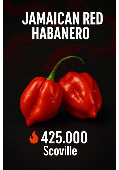 Jamaican Red Habanero 425.000 Scoville Gerçek Taze Acı Biber