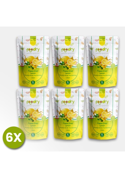 Freeze-dry Limon Freeze Dried Lemon Dondurularak Kurutulmuş Meyve Kurusu 17gx6 17 G