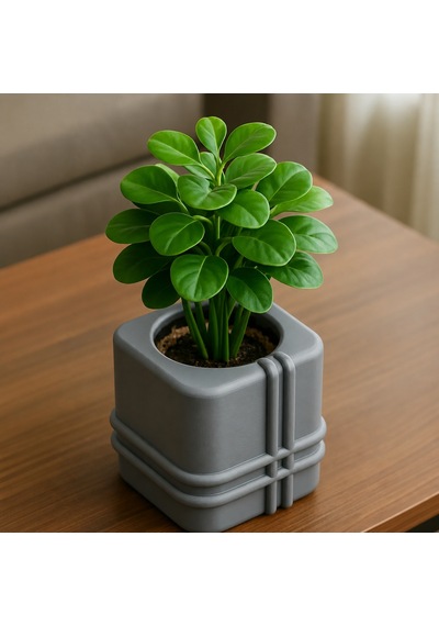 3d Baskı Square Planter - Izgara Desenli Küp Saksı-gri