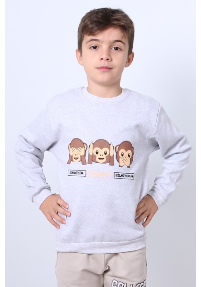 Hçm Erkek Çocuk Şardonlu Sweat Karakter Baskılı Ribanalı E34 Gri