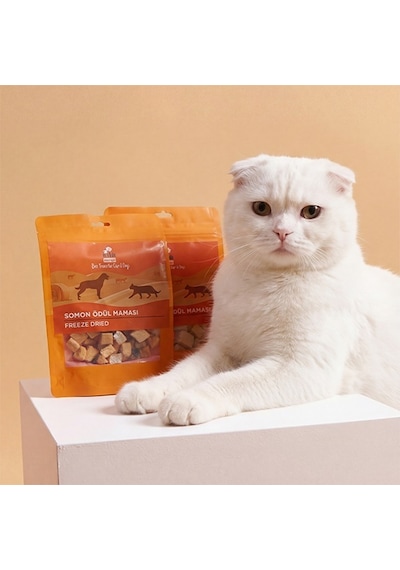 Kito Freeze Dried Somon Ödül Maması Köpekler İçin 30 G
