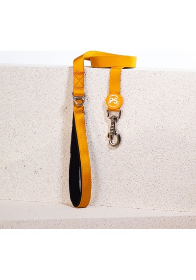 Pawstar L07 Gold Sevk Kayışı Altın