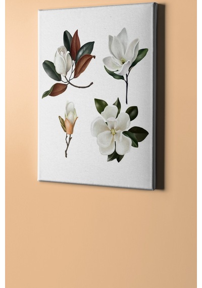 Webstyle Sayılarla Boyama Seti Kasnaklı Beyaz Çiçekler 40 X 50 Cm