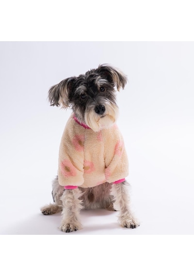 Krem Çiçek Desenli Soft Garden Sweat Dar Kalıp Kedi Köpek Sweati Kedi Köpek Kıyafeti Köpek Peluşu Sıcak Tutan Sweat