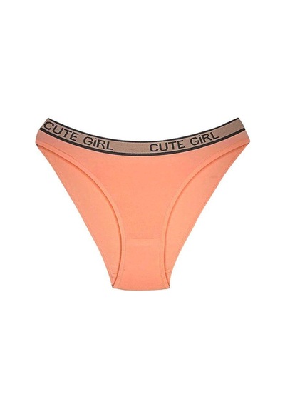 10 Adet Beli Yazılı Pamuklu Kalın Lastik Kadın Slip Külot Renkli