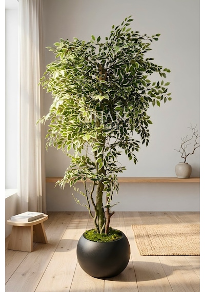 Yapay Benjamin Starlight Ağacı 180 Cm - Küre Saksılı Beyaz