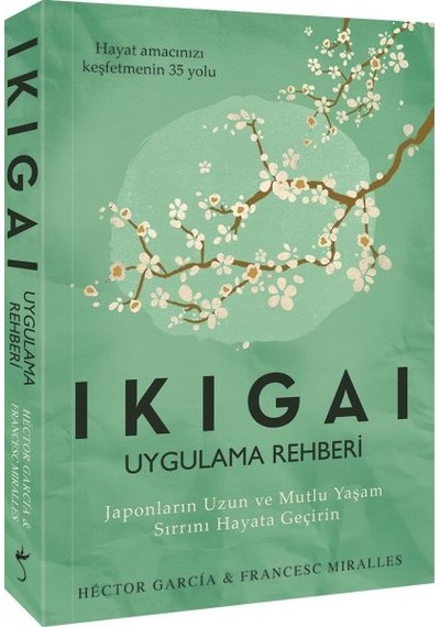 Ikigai Uygulama Rehberi