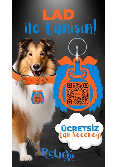 Petjoo 23.Lad Mavi-Turuncu Qr'lı Köpek Künyesi