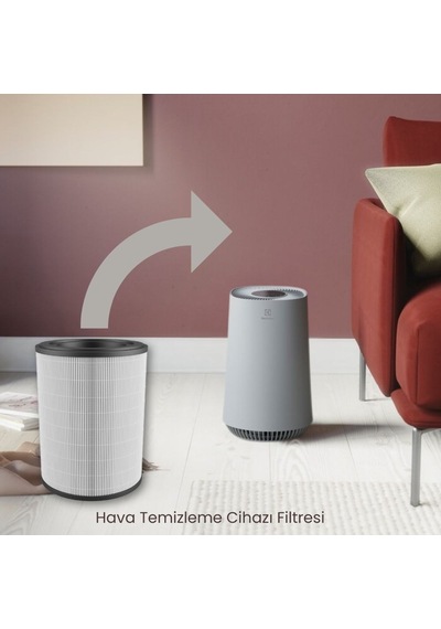 Electrolux Fa31-201gy Akış Hava Temizleyici İle Uyumlu Filtre