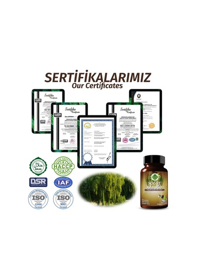 Gökçek Şifa Söğüt Willow Capsule)60 Kapsül