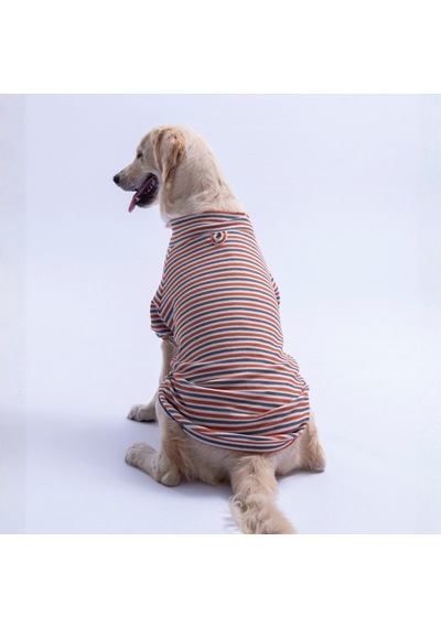 Pawstar Kiremit Marseille Orta-büyük Irk Çizgili Köpek Sweati Köpek Kıyafeti Pawstar Kiremit Marseille Orta-büyük Irk Çizgili Köpek Sweati Köpek Kıyafeti