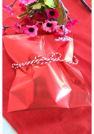 Kırmızı Janjanlı Hediye Paketi Yapışkanlı 10'lu 12 x 17 CM