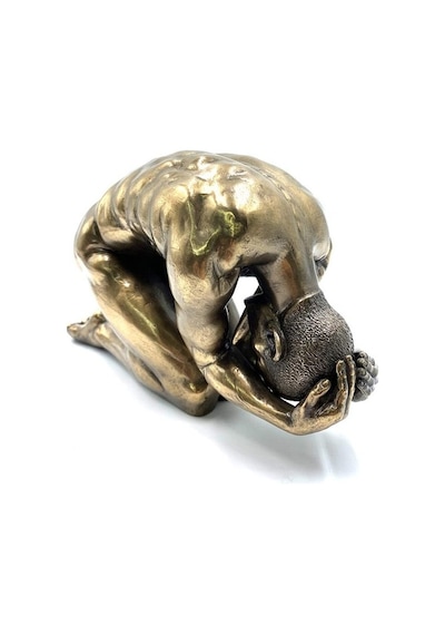 Wise Body Biblo (552956569)