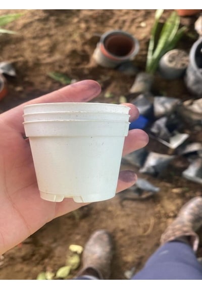 Katı Plastik Sukulent Saksısı 5 Adet Beyaz 5.5 Cm
