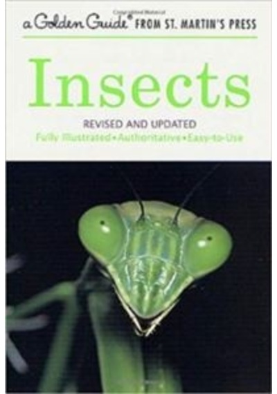 Golden Guide Insects 9781582381299