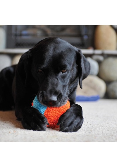 Indoor Shaker Eve Özel Yumuşak Köpek Oyuncağı