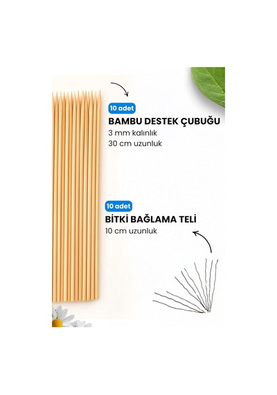 Depolife Bitki Fidan Saksı Destek Kazığı 10 Adet 30cm Bambu Destek Çubuğu Seti