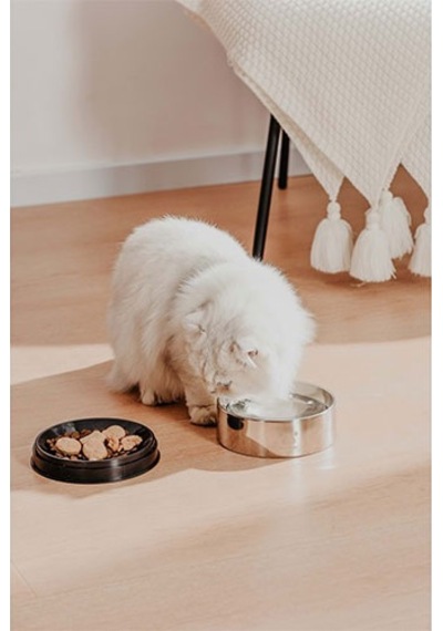 Pawgether Bowl 2s Kedi Ve Küçük Irk Köpek Çelik Mama Ve Su Kabı 850 Ml 277-51001.02