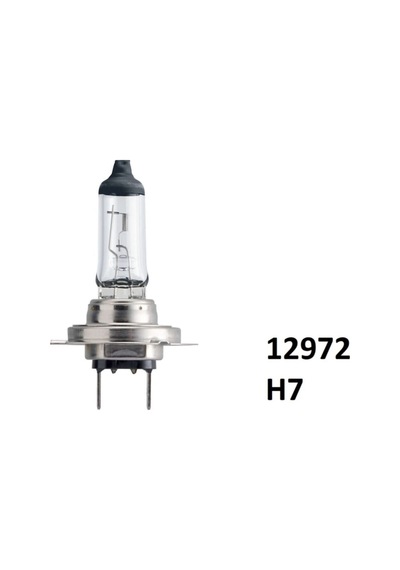 H7 55watt Standart Ampul 12972 Proqc1 10 Adet Ean- 8711500829962