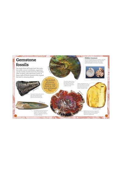 My Book Of Fossils: A Fact-filled Guide To Prehistoric Life