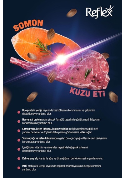 Tr Duo Protein Somonlu Ve Kuzu Etli Orta Ve Büyük Irk Yetişkin Köpek Maması 10 Kg