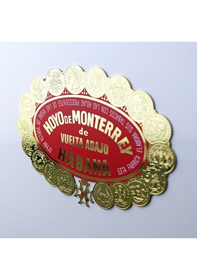 Hoyo De Monterrey Bej Lake Humidor Puro Kutusu 50's