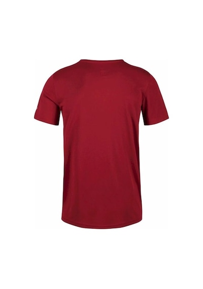 Regatta Fingal V Erkek T-Shirt - Bordo