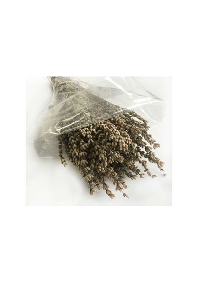 Hardal Doğal Lavanta Şoklanmış Çiçek Natural Demet 100 Gr