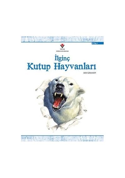 İlginç Kutup Hayvanları - Qhdh-814779