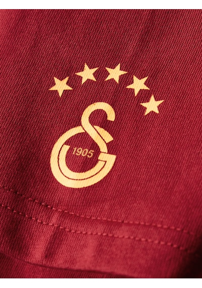 Gsstore Galatasaray Çocuk T-shirt C252097 Bordo