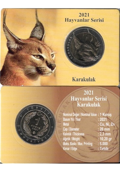 2021 Hayvanlar Serisi Karakulak 1 Kuruş Bimetal Özel Kitinde Çil
