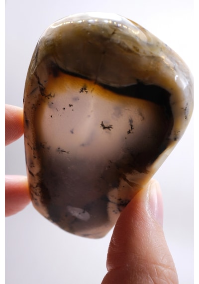 Nadir Renkli Merlinite Dilimi İki Taraflı Cila Honey & Mavi Dendritik Opal - Manzara Koleksiyon Ta