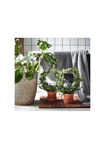 Ikea Rågkorn Plastik Saksı 24 Cm Naturel
