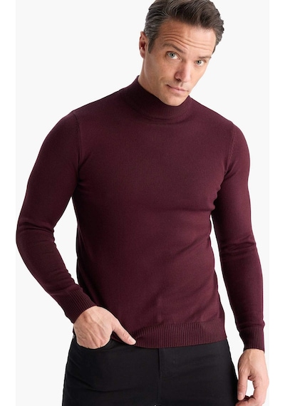 Defacto Slim Fit Dar Kesim Balıkçı Yaka Basic Düz Triko Kazak R1127az25wnbr34 Bordo Defacto Slim Fit Dar Kesim Balıkçı Yaka Basic Düz Triko Kazak R1127az25wnbr34 Bordo