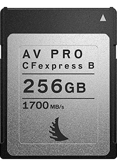Angelbird Av-pro-cfexpress 256 Gb Hafıza Kartı