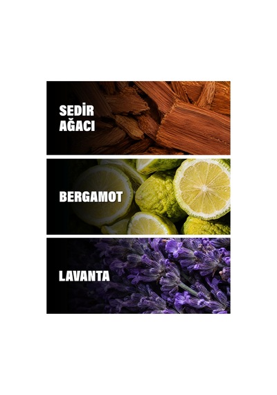 Bleu De 5 Ml Erkek Parfüm Narenciye / Turunçgil