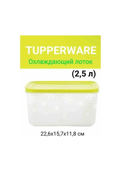 Tupperware 2,5 Litre Tupperware Soğutucu Tepsi 419189103 Beyaz