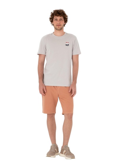 U.S. Polo Assn. Erkek Regular Fit Bisiklet Yaka Tişört Gri