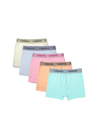 Carnaval Socks Carnaval Advantage Pack Erkek Boxer 5 Li Set Çoklu