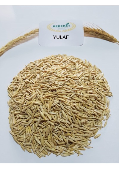 Yulaf Tohumu 1 KG