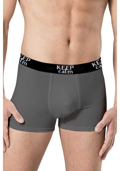 Anıt 2 Adet Füme Renk Likralı Modal Boxer